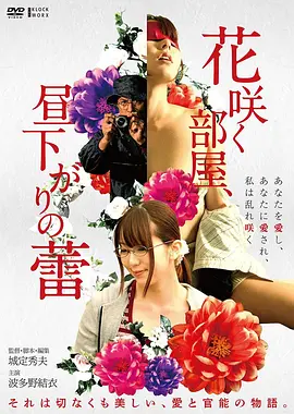 静默频率观测档案封面